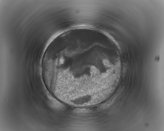 X0000099471474200805301545