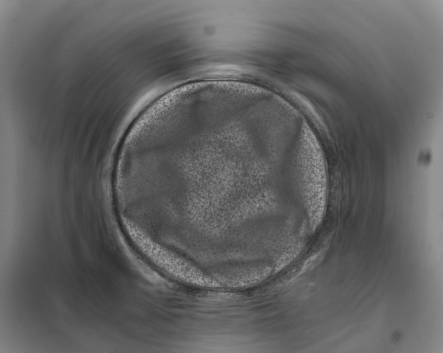 X0000099471475200805301545