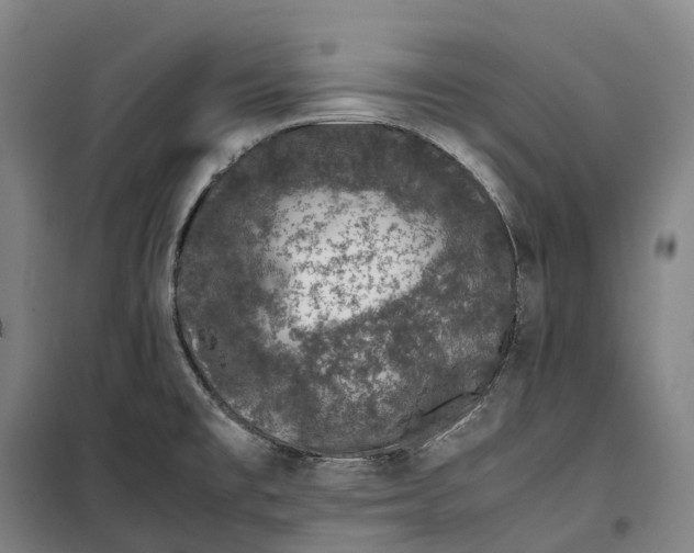 X0000099471477200805301545