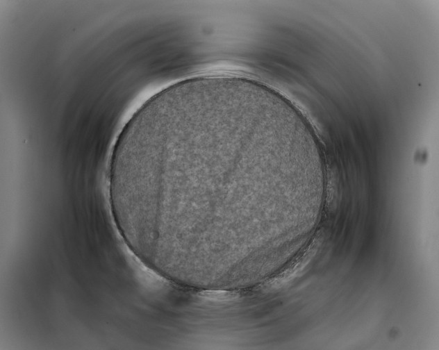 X0000099471478200805301545