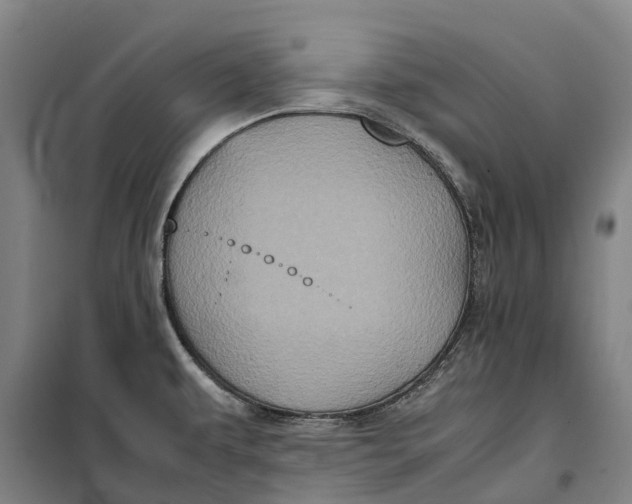 X0000099471479200805301545