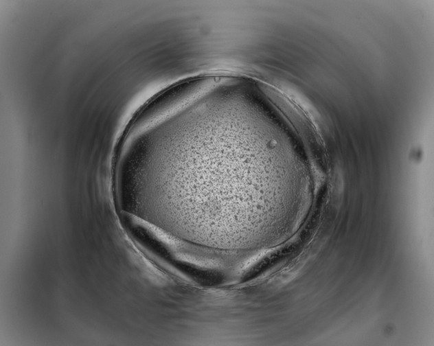 X0000099471480200805301545