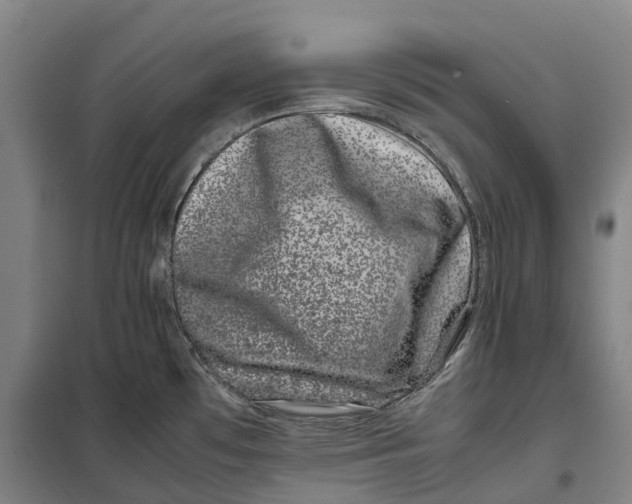 X0000099471481200805301545