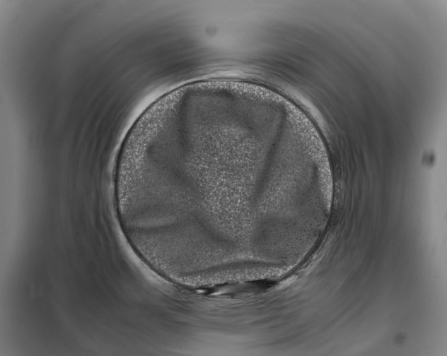 X0000099471483200805301545