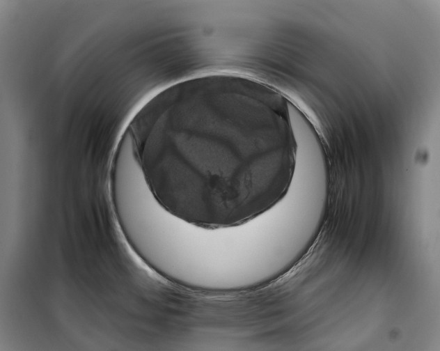 X0000099471484200805301545