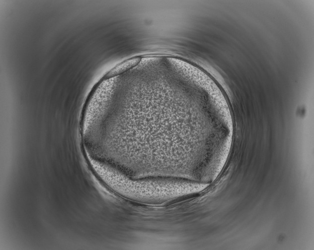 X0000099471485200805301545