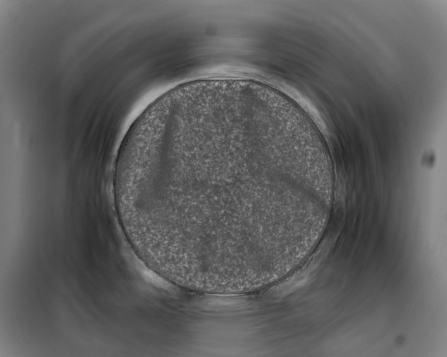 X0000099471486200805301545