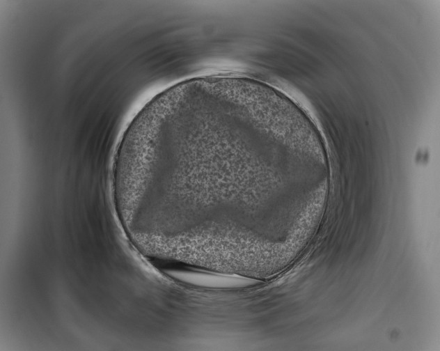 X0000099471488200805301545