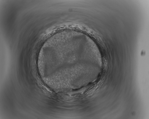 X0000099471489200805301544