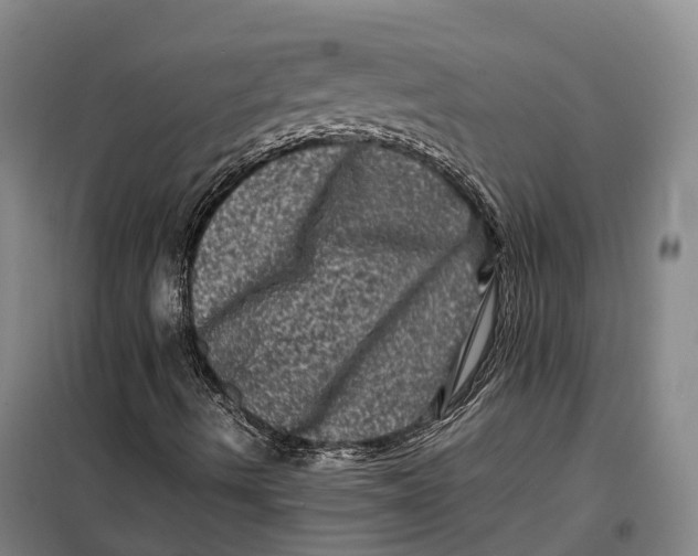 X0000099471490200805301544