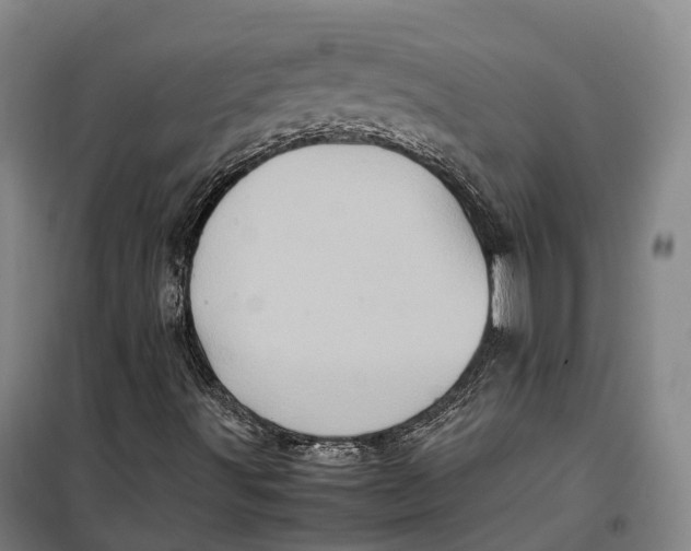 X0000099471491200805301544