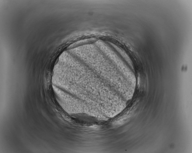 X0000099471492200805301544