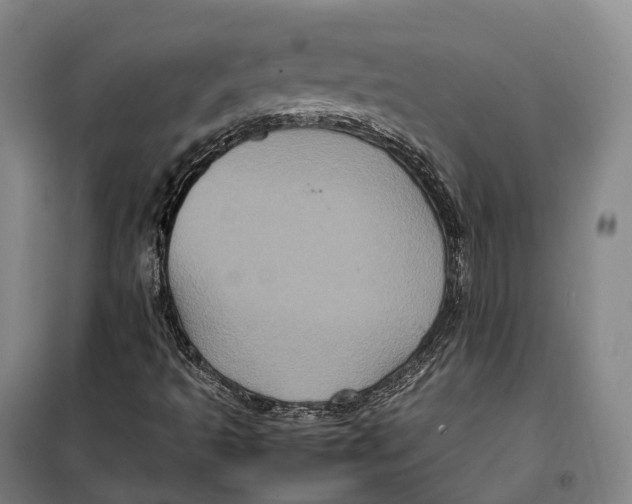 X0000099471493200805301544