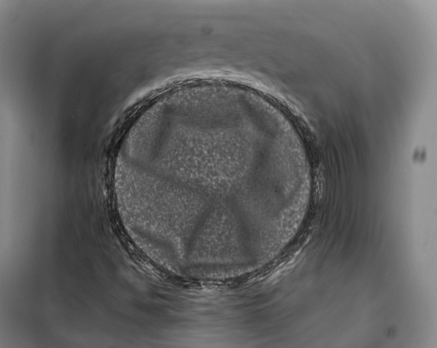 X0000099471494200805301544