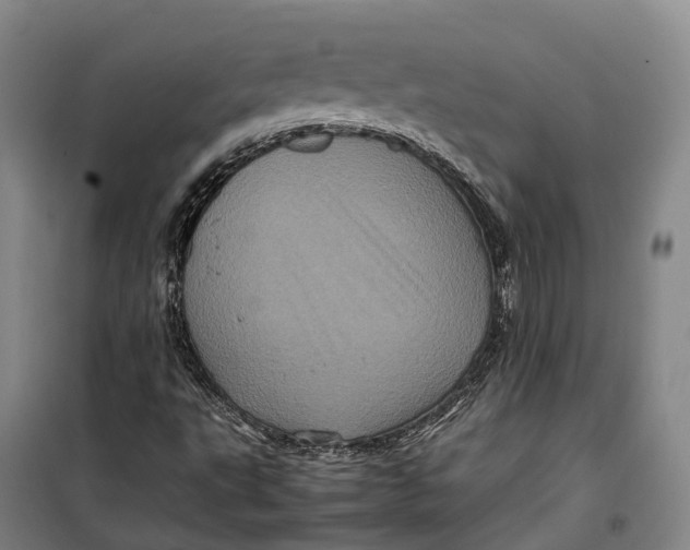 X0000099471495200805301544