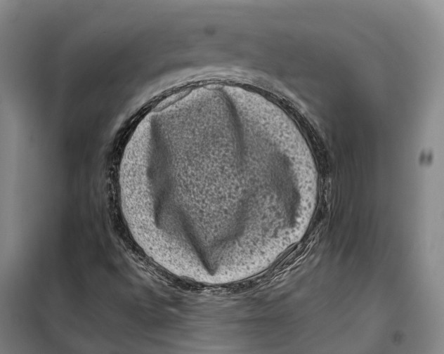 X0000099471496200805301544