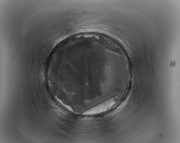 X0000099471497200805301544