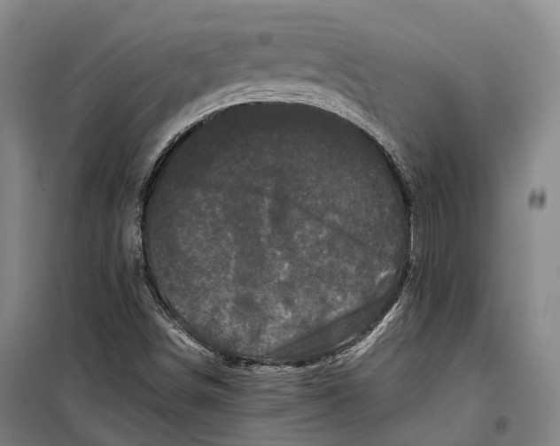 X0000099471498200805301544