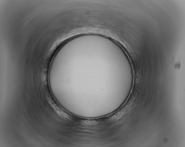 X0000099471499200805301544