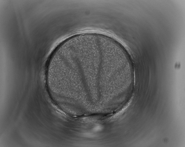 X0000099471501200805301544