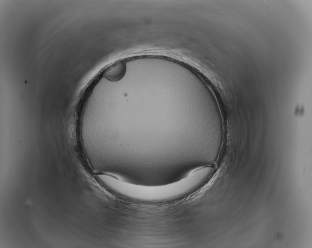 X0000099471502200805301544