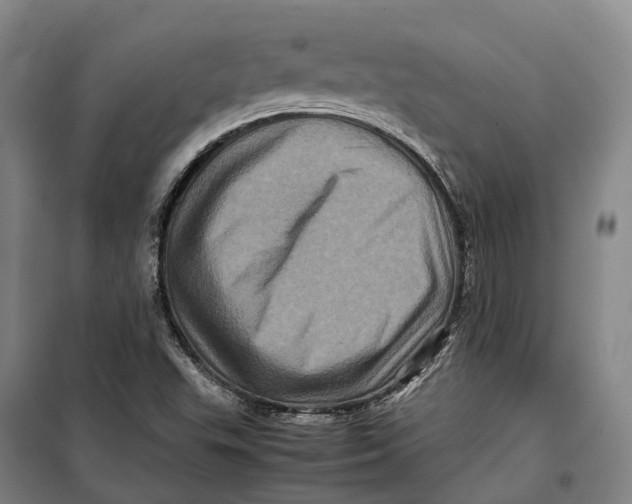 X0000099471503200805301544