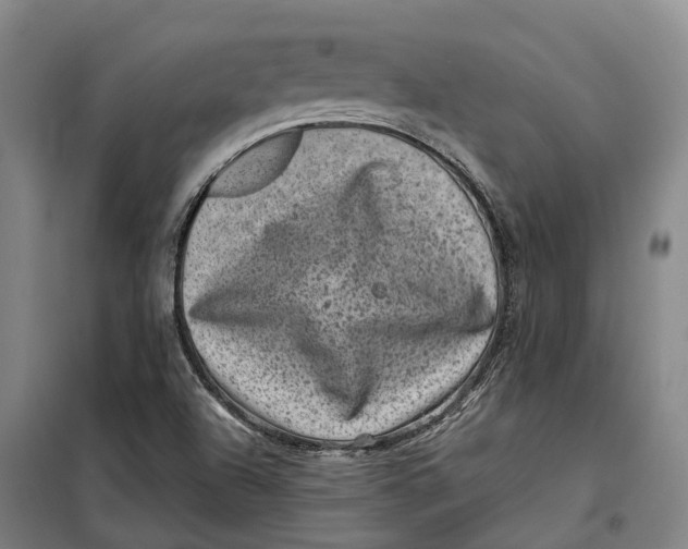 X0000099471504200805301544