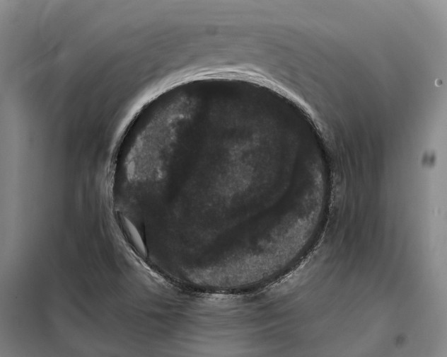 X0000099471506200805301544