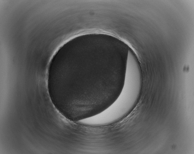 X0000099471508200805301544