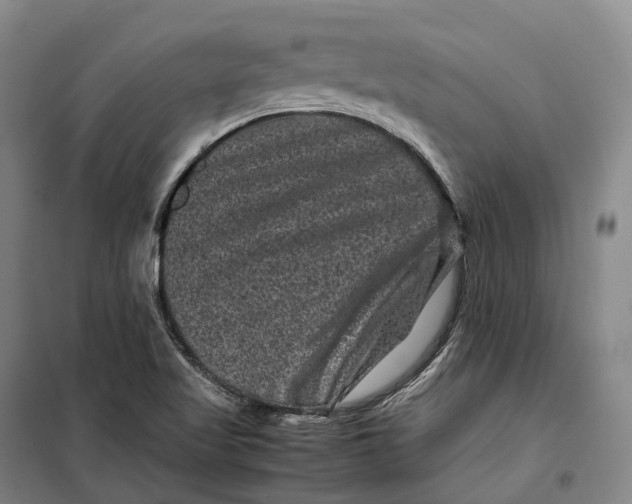 X0000099471509200805301544