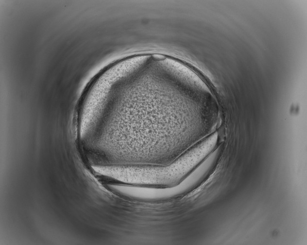 X0000099471510200805301545