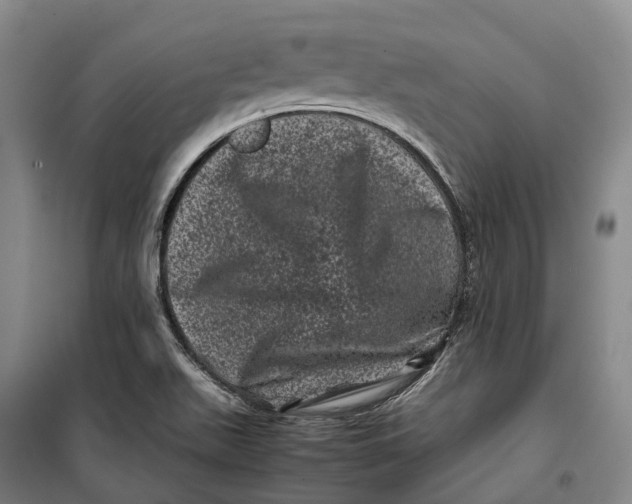 X0000099471511200805301545