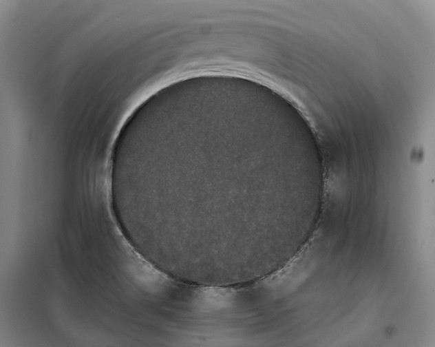 X0000099471514200805301545