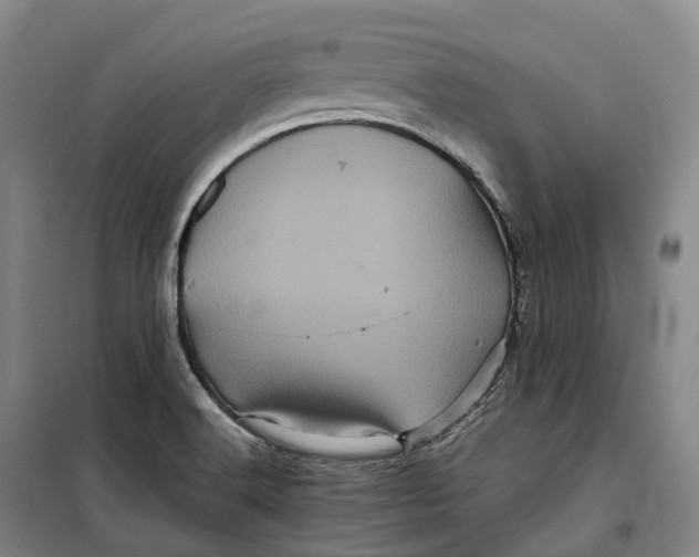 X0000099471516200805301545