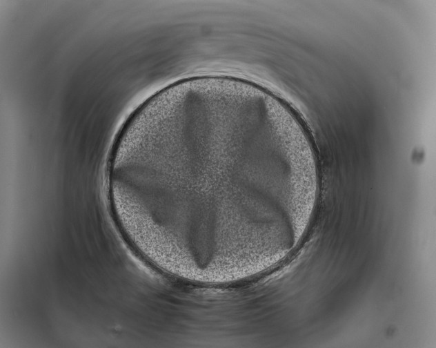 X0000099471517200805301545