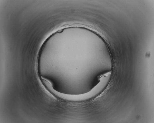 X0000099471518200805301545