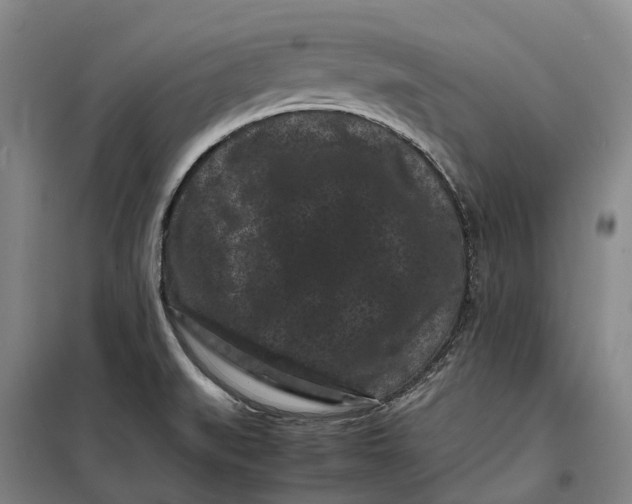 X0000099471519200805301545