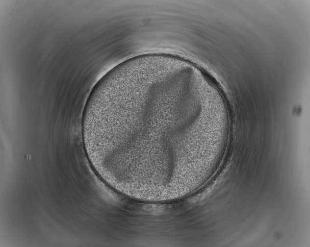 X0000099471521200805301545