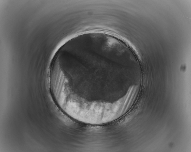 X0000099471522200805301545