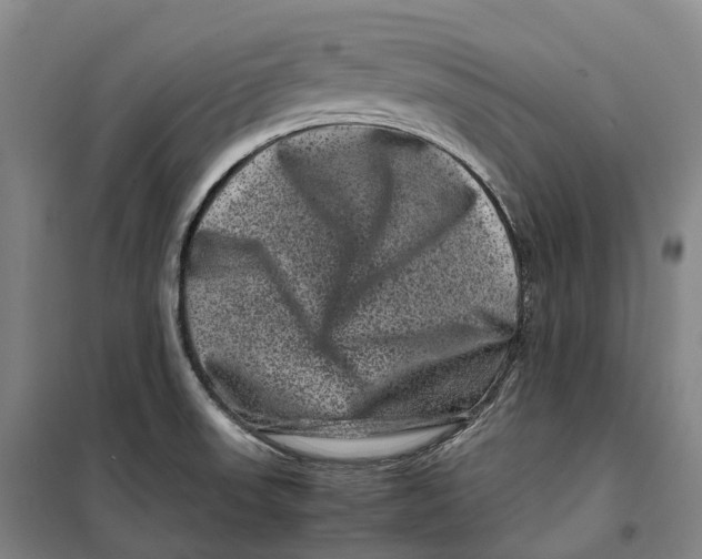 X0000099471523200805301545