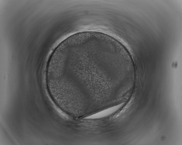 X0000099471525200805301545