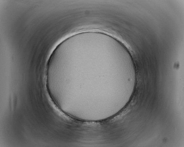 X0000099471526200805301545