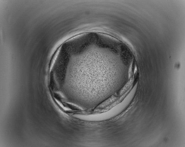 X0000099471528200805301545