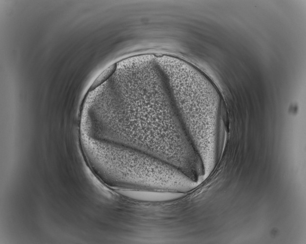 X0000099471532200805301545