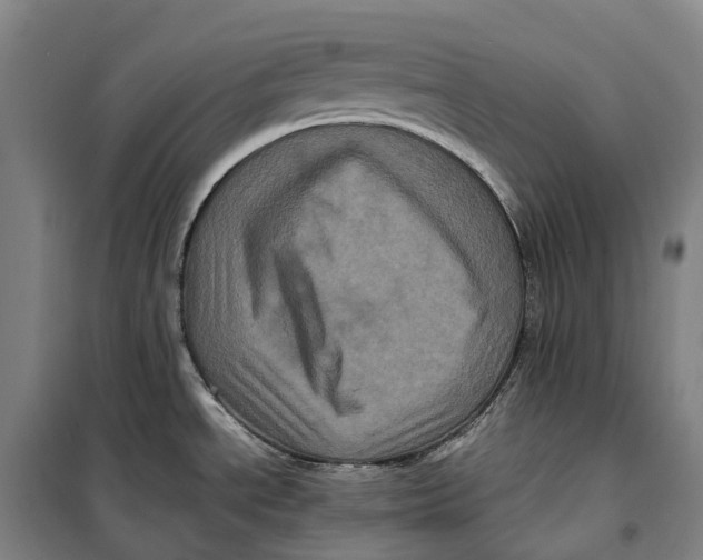 X0000099471534200805301545