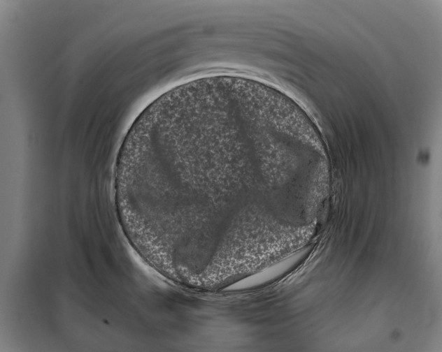 X0000099471535200805301545