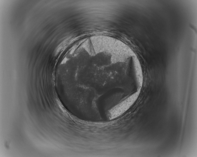 X0000099470002200806061231