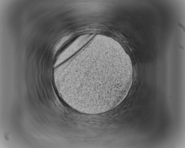 X0000099470003200806061231