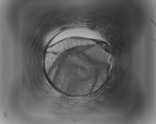 X0000099470005200806061231