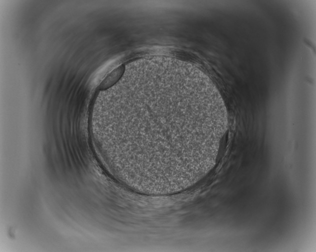 X0000099470006200806061231